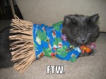 FTW, lolcats, Fuck The World!, cat, hula dress,