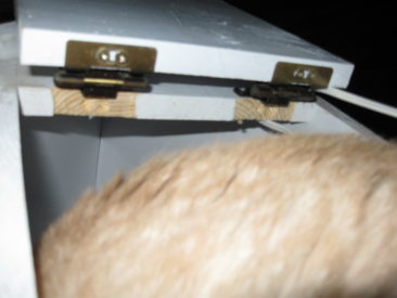 Cat House - Cabinet Hinges