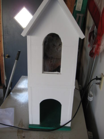 2 Story Cat House with Window