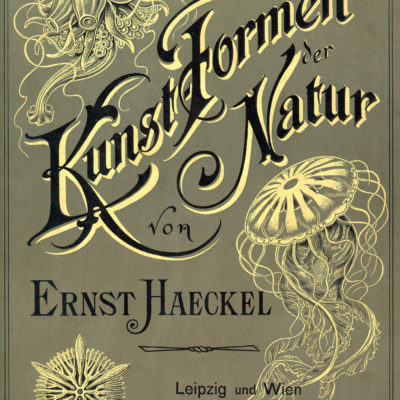 Kunstformen der Natur - Art Forms of Nature - 1904 - cover