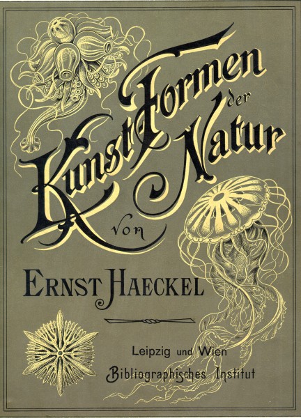Kunstformen der Natur - Art Forms of Nature - 1904 - cover