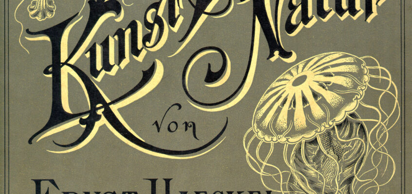 Kunstformen der Natur - Art Forms of Nature - 1904 - cover