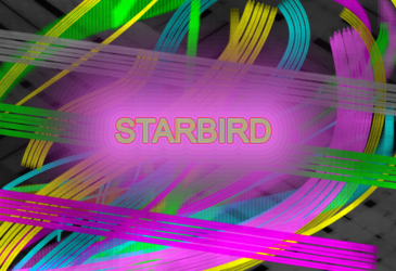 STAR BIRD - BANNER