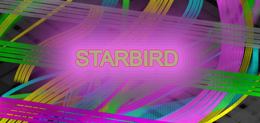 STAR BIRD - BANNER