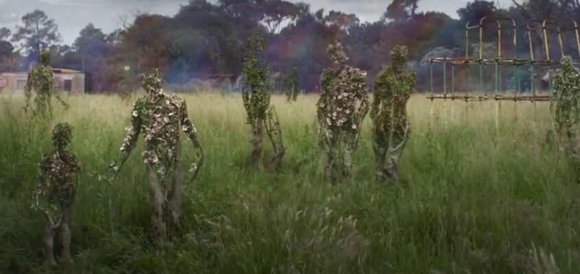 ANNIHILATION - PEOPLE PLANTS