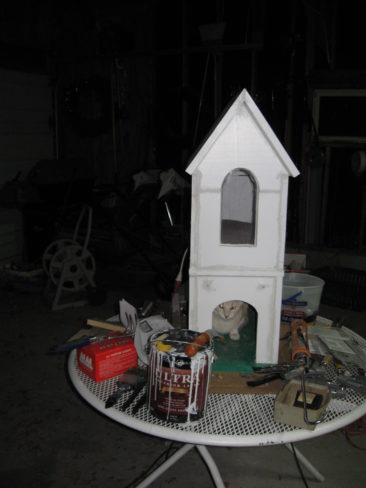 Cat House - A Work In Progress