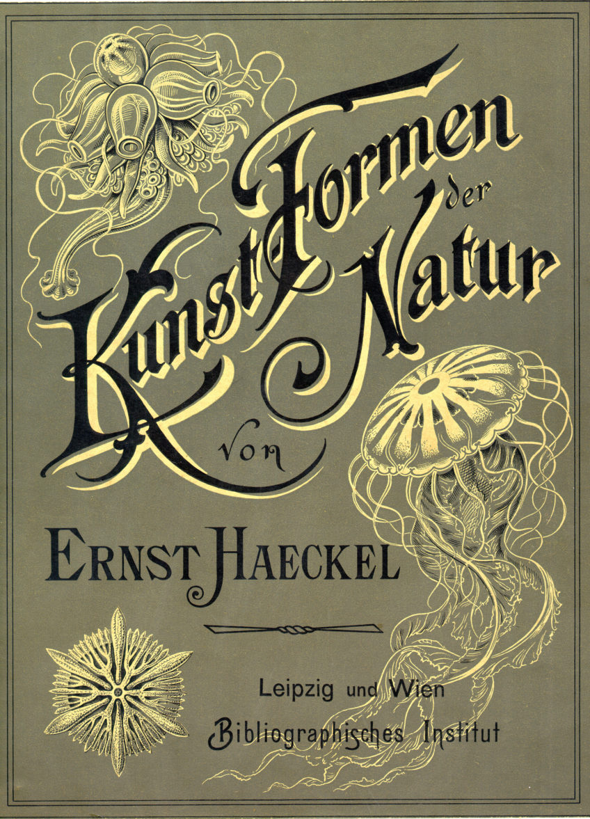Kunstformen der Natur - Art Forms of Nature - 1904 - cover