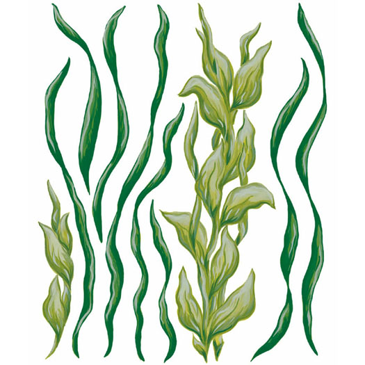 Unattributed Grass Kelp Graphic, inspiration for steel light baffles