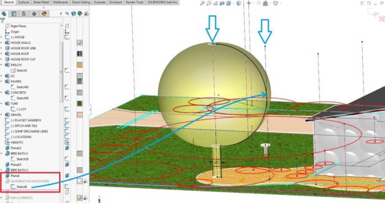 Landscaping Plan in CAD - Heights and profiles of plants trees shrubs 4