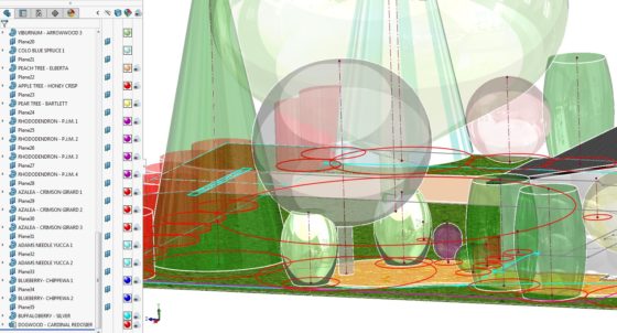 Landscaping Plan in CAD - Heights and profiles of plants trees shrubs 6