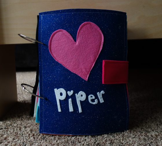Finished Felt Quiet Books 1 - Used leather hole punch and largest binder rings this time